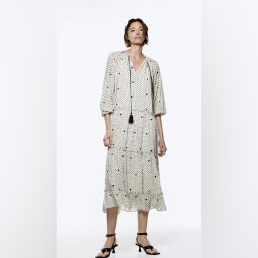 ZARA dotted mesh oversized embroidered dress swiss dot tassel oversized boxy xs